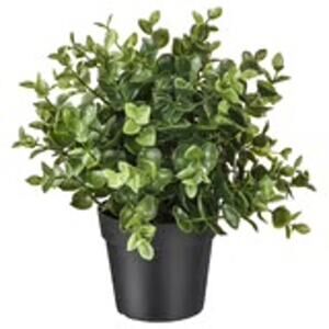FEJKA Artificial Oregano Brings Green Joy Home No Fuss No Mess